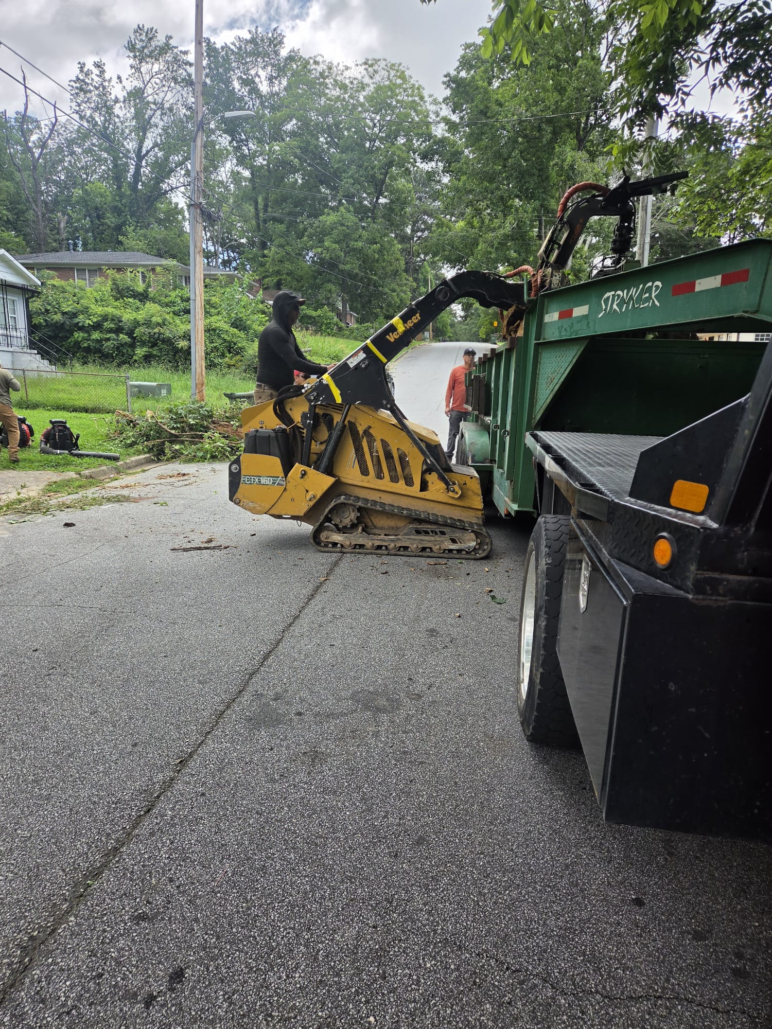 Professional tree service equipment on site